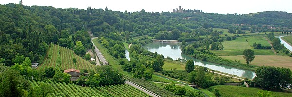 Ristorante Olfino